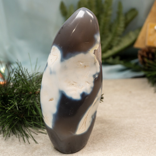 Orca Agate Free Form #18