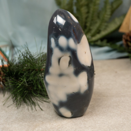 Orca Agate Free Form #17