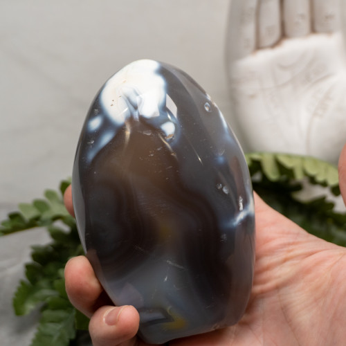 Orca Agate Free Form #8