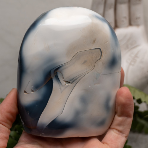 Orca Agate Free Form #7