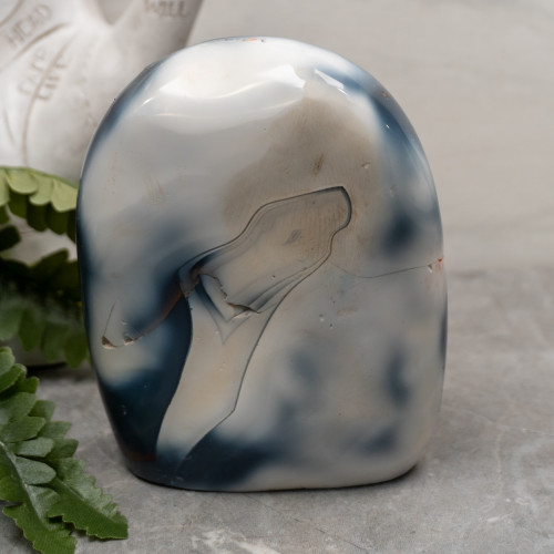 Orca Agate Free Form #7