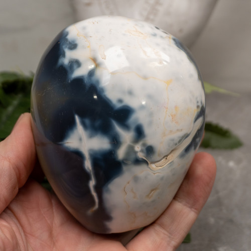 Orca Agate Free Form #6