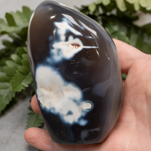 Orca Agate Free Form #5