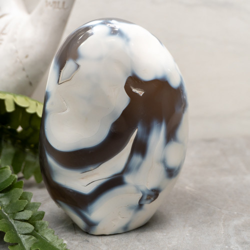 Orca Agate Free Form #4