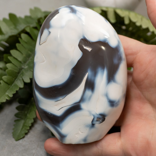 Orca Agate Free Form #4