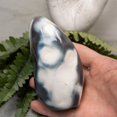 Orca Agate Free Form #1
