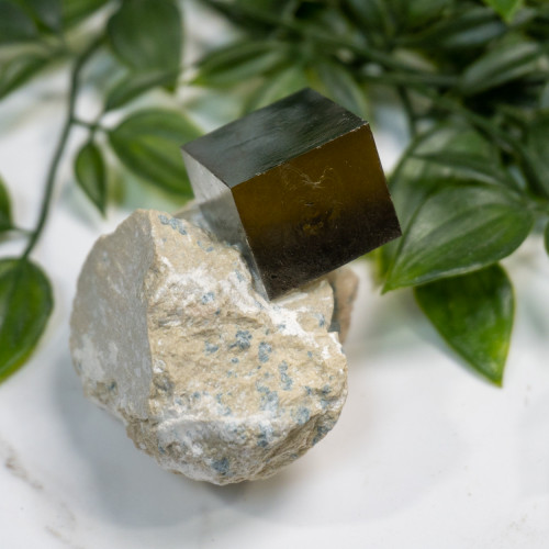 Pyrite Cube in Matrix #6