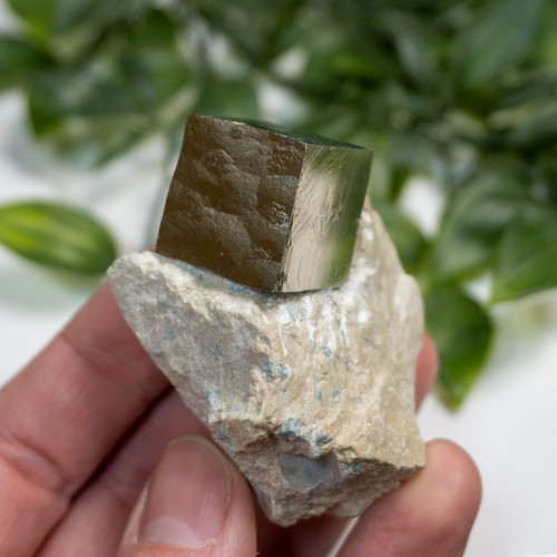 Pyrite Cube in Matrix #5