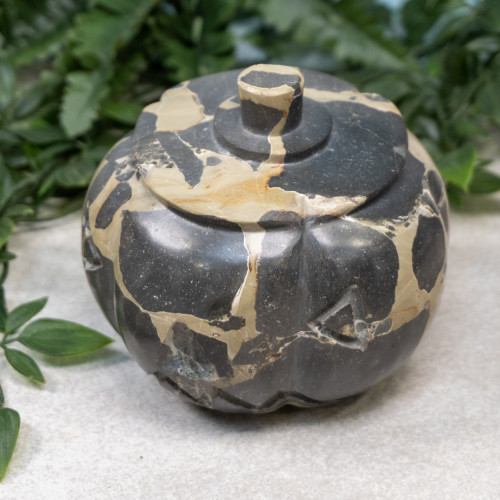 Jasper in Matrix Pumpkin w Face