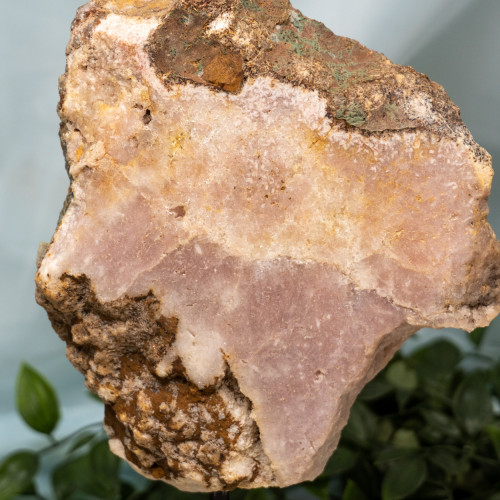 Pink Amethyst w Stand #3