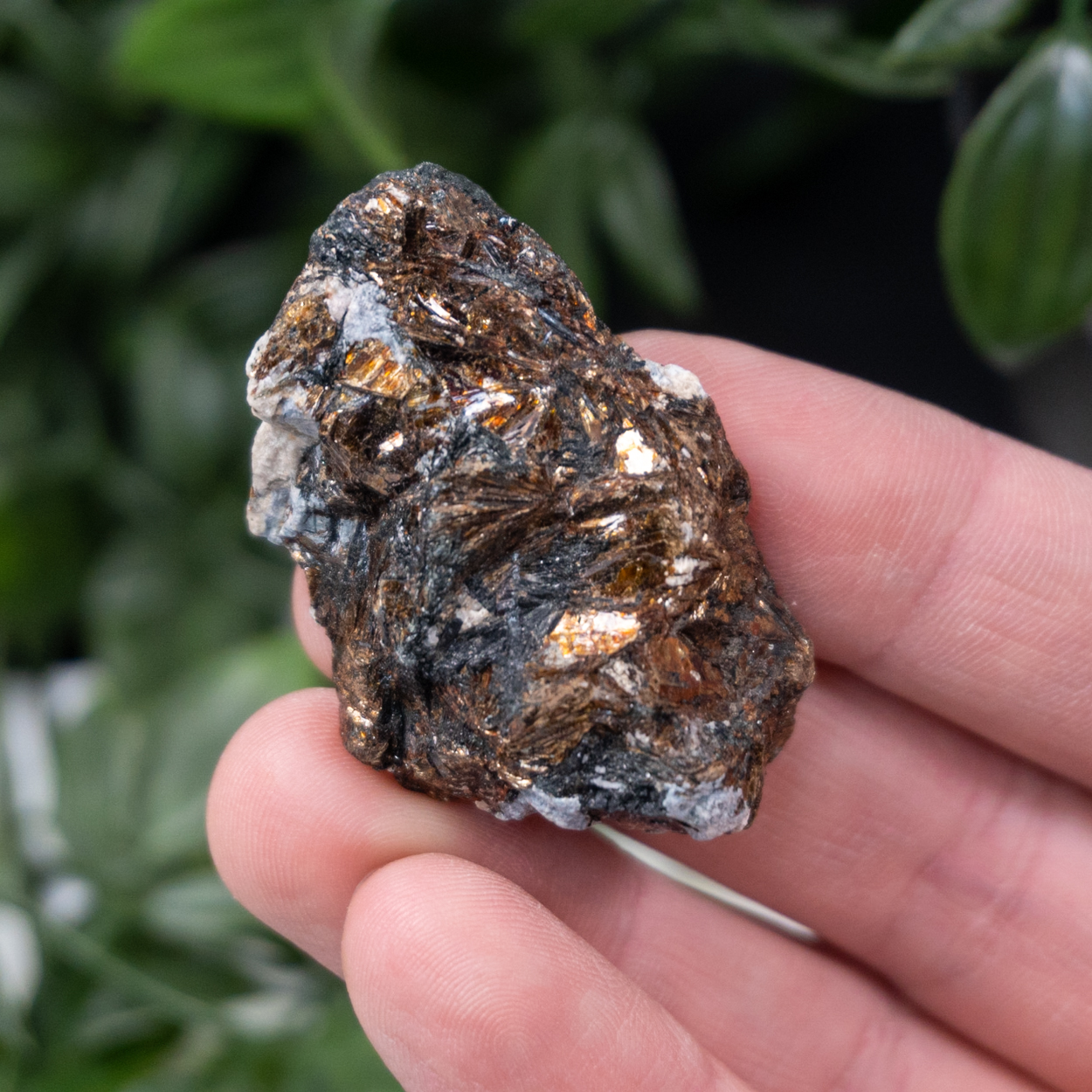 Raw Astrophyllite 2 The Crystal Council
