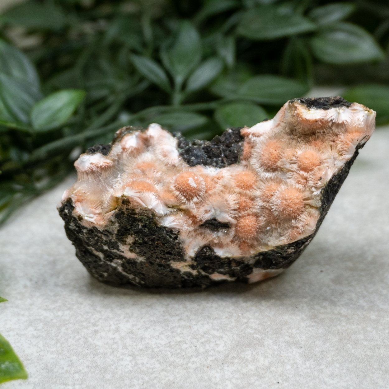 Raw Thomsonite #9 - The Crystal Council