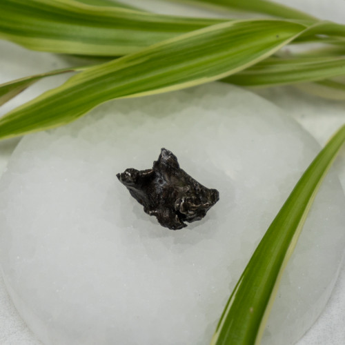 Natural Sikhote-Alin Meteor #7