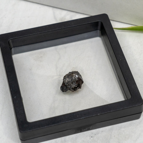 Natural Sikhote-Alin Meteor #10