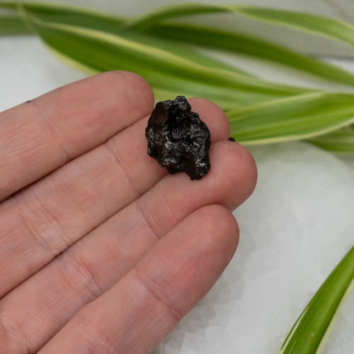Natural Sikhote-Alin Meteor #10