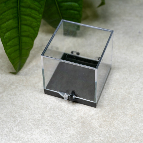 Small Plastic Gem Display Case
