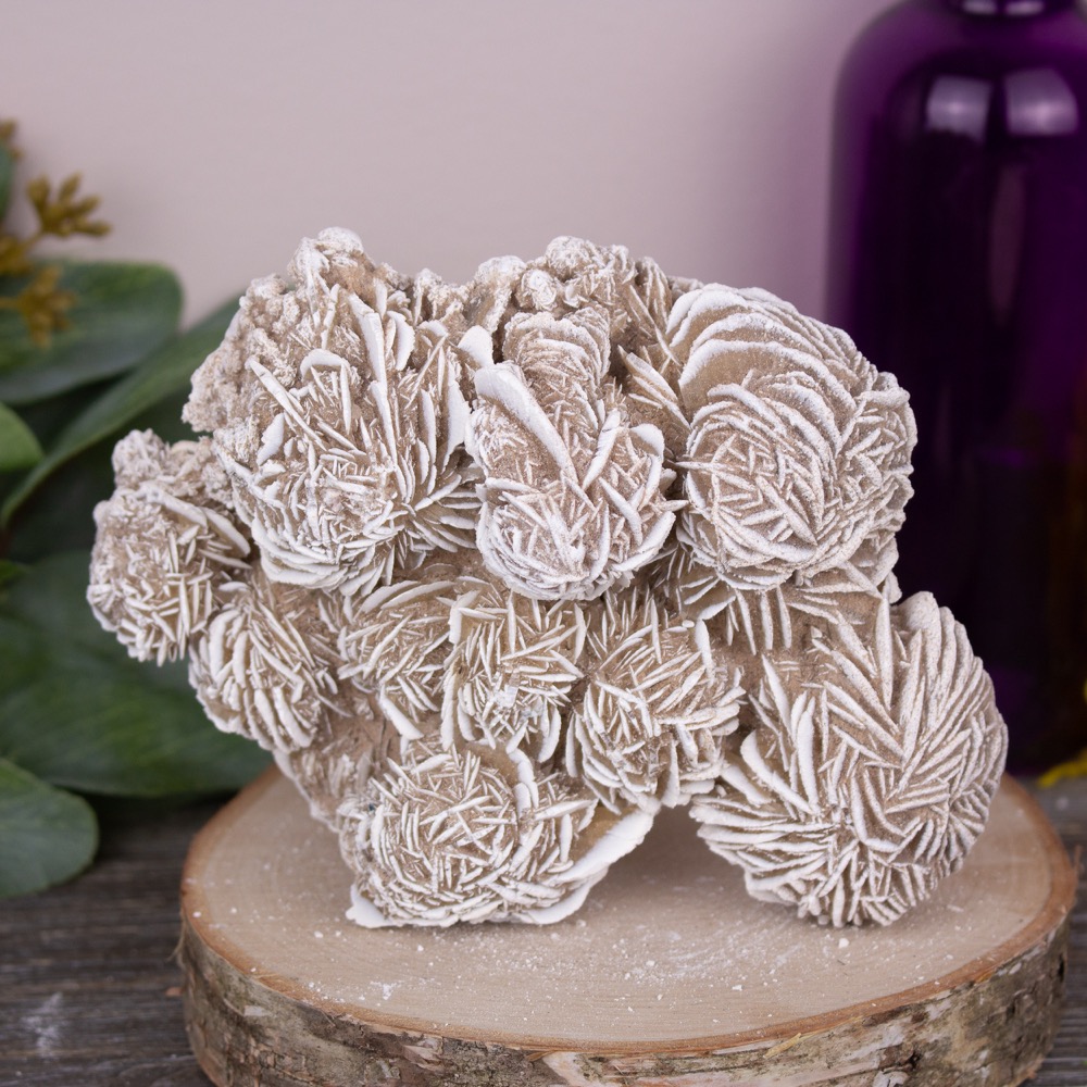 Desert Rose Selenite #10 - The Crystal Council