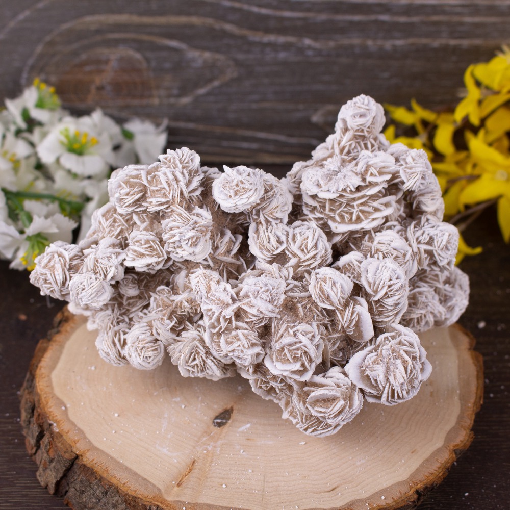 Desert Rose Selenite #9