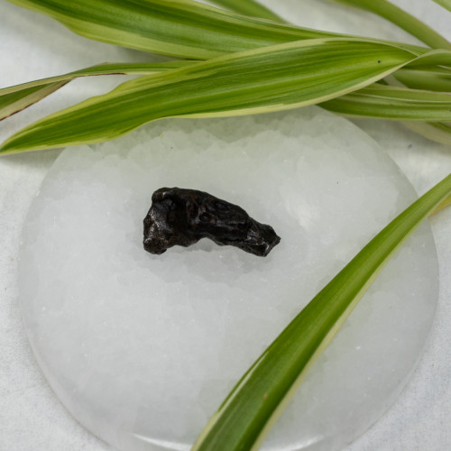 Natural Sikhote-Alin Meteor #5