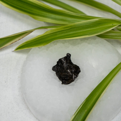 Natural Sikhote-Alin Meteor #4