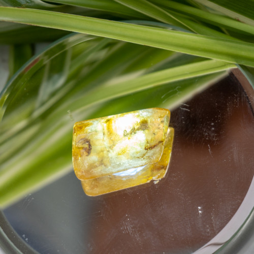 Natural Amber with Case #3