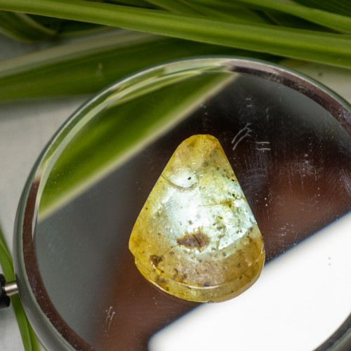 Natural Amber with Case #1