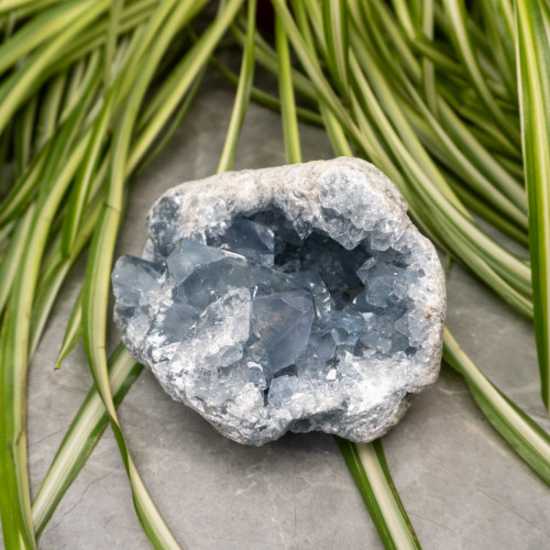XL Celestite Geode #3