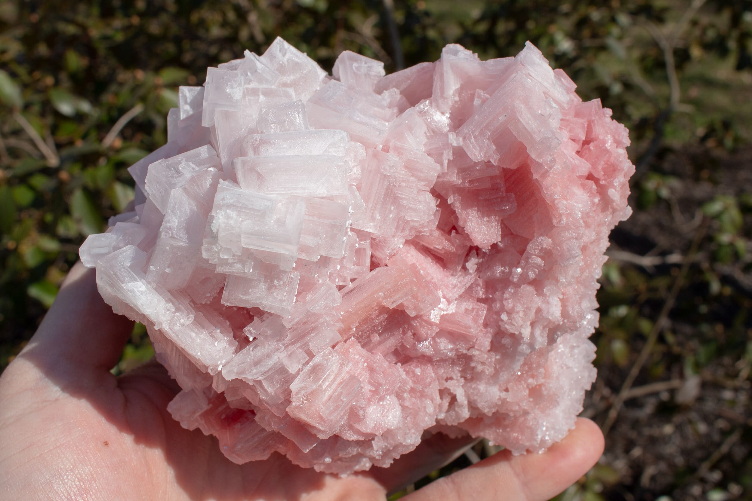 halite benefits