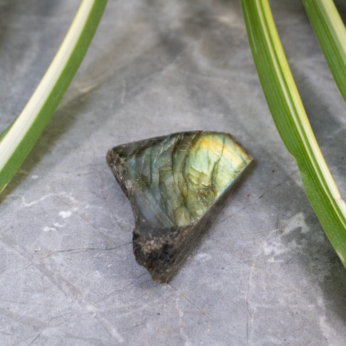 Half-Polished Labradorite #4