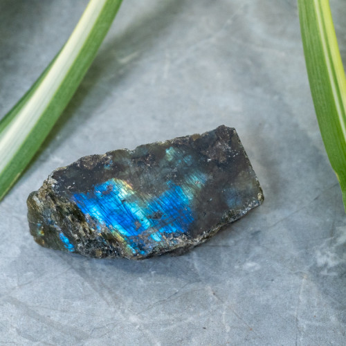 Half-Polished Labradorite #3