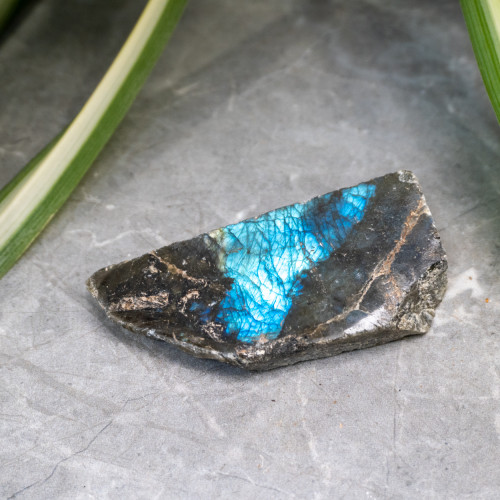 Half-Polished Labradorite #2