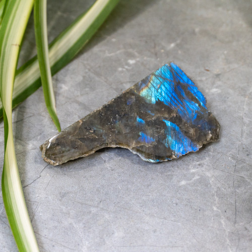 Half-Polished Labradorite #1
