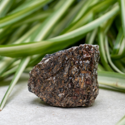 Astrophyllite #9