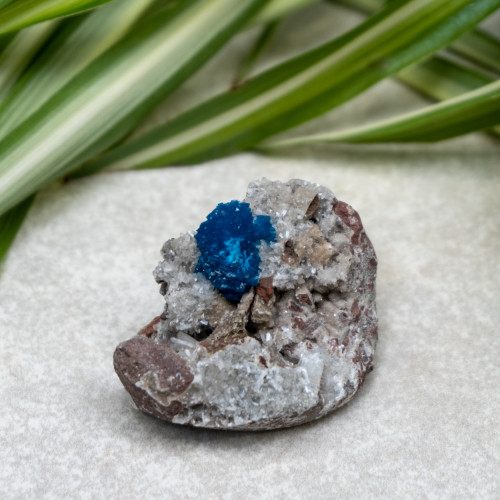 Cavansite #6