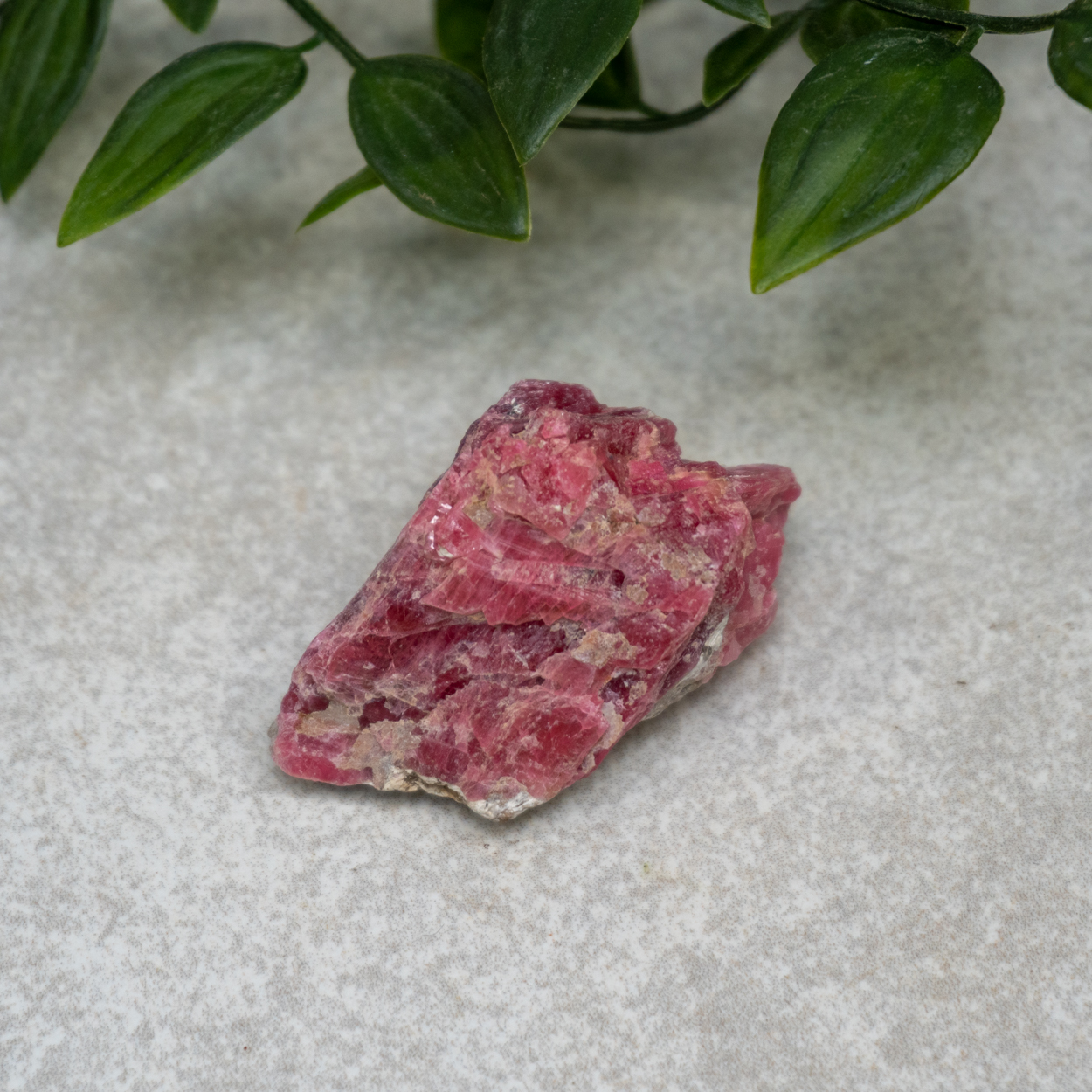 Raw Rhodonite #1 - The Crystal Council