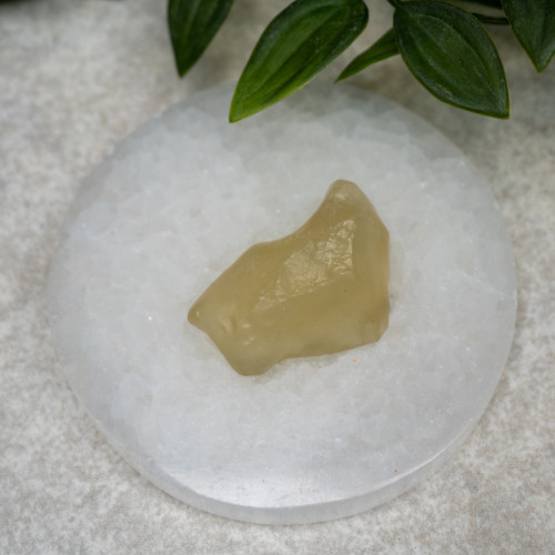 Libyan Desert Glass #3