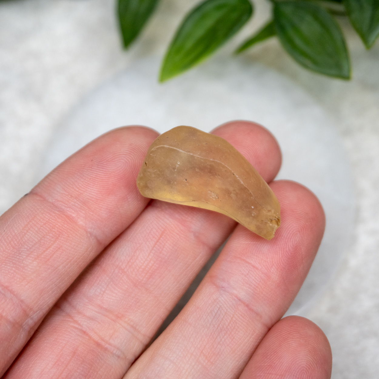 Libyan Desert Glass 2 The Crystal Council