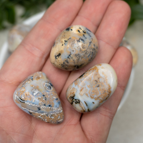 Milky Way Agate Tumbled