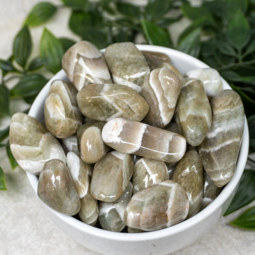Praisolite Tumbled