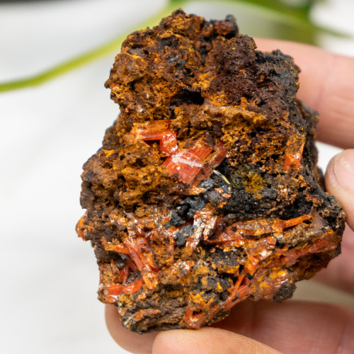 Raw Crocoite #28