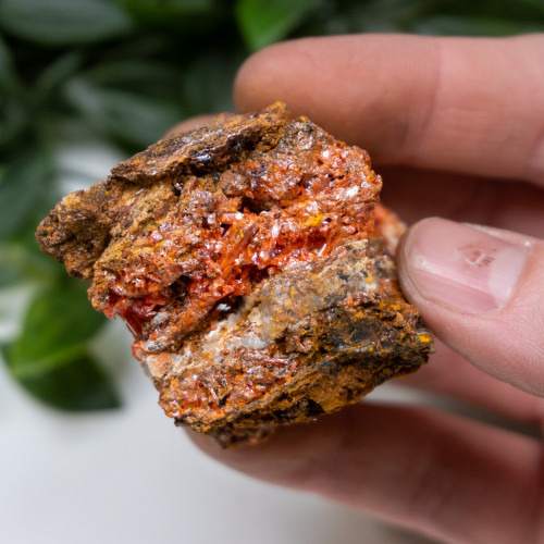 Raw Crocoite #20