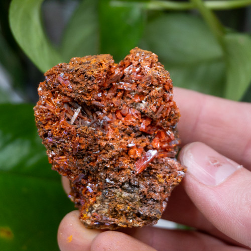 Raw Crocoite #10