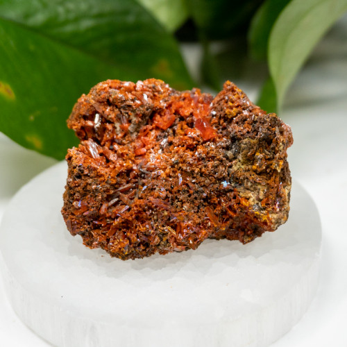 Raw Crocoite #10