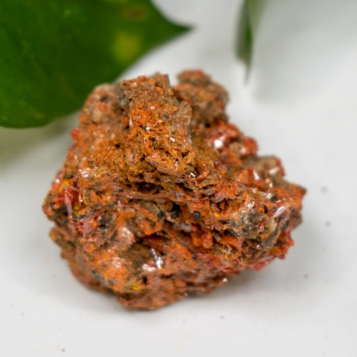 Raw Crocoite #5