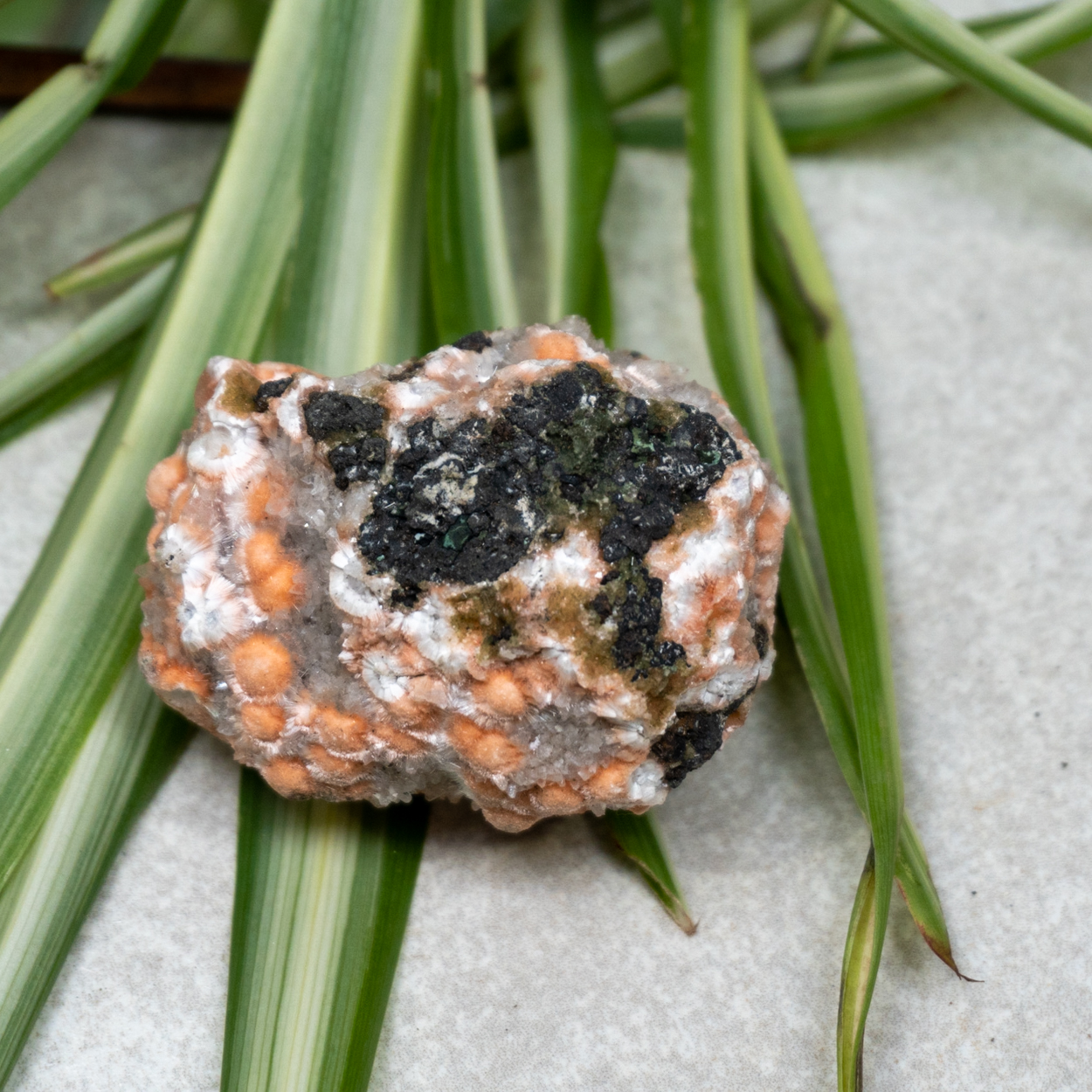 Raw Thomsonite #30 - The Crystal Council