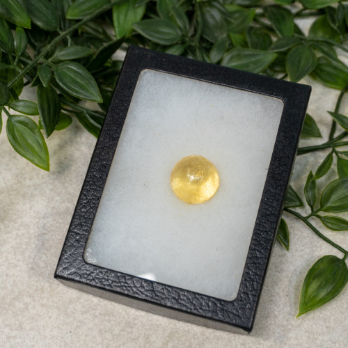 Amber Small Sphere with Case