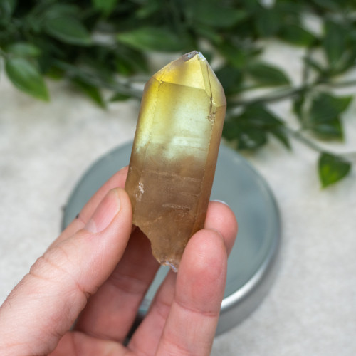 Natural Citrine Point #19