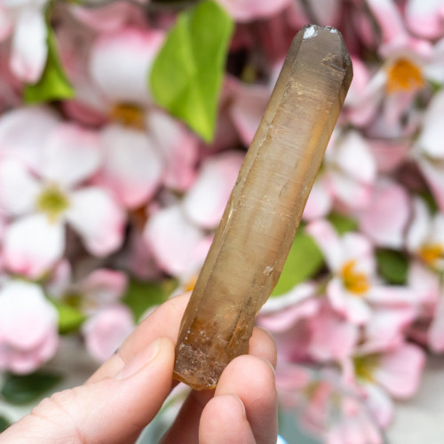 Natural Citrine Point #4