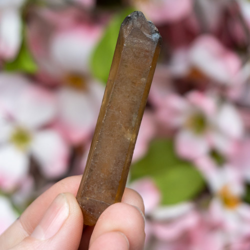 Natural Citrine Point #1