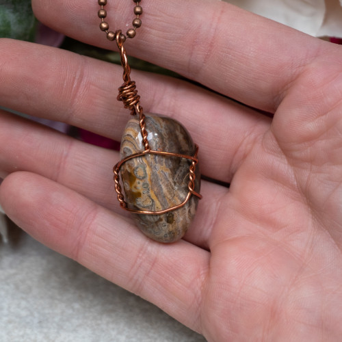 Petrified Wood Polished Bronze Necklace